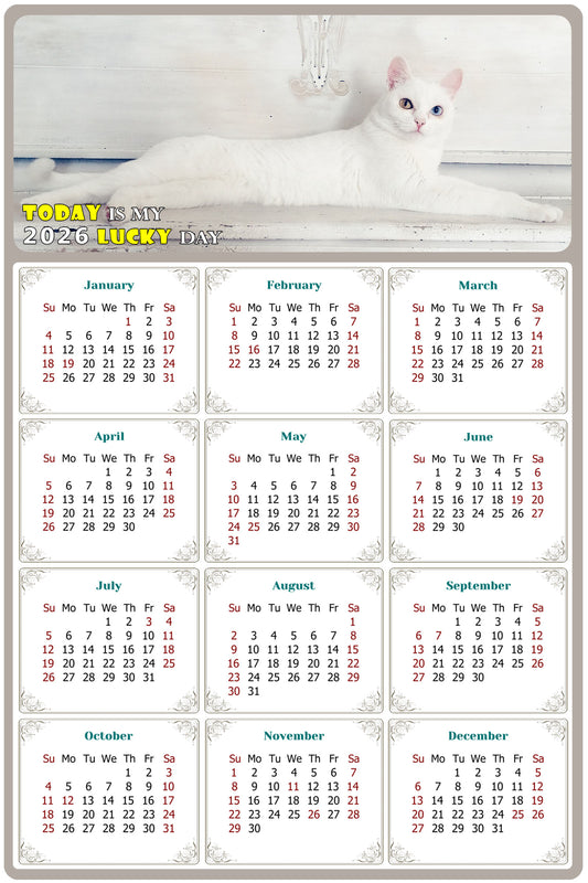 2026 Peel & Stick Calendar - Today is my Lucky Day Removable - Cat 06 (12"x 8")