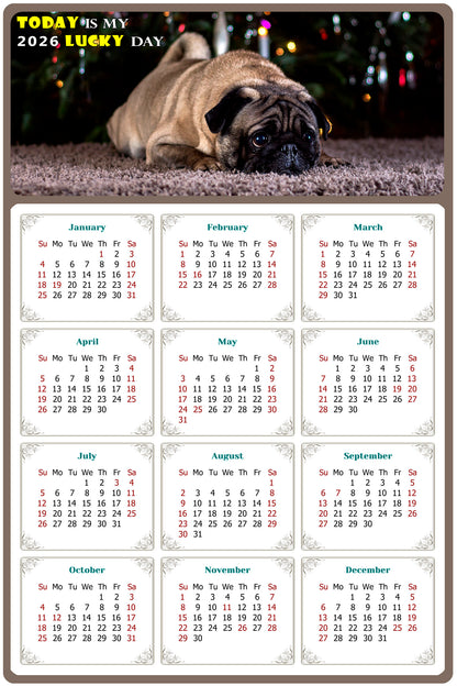 2026 Magnetic Calendar - Today is My Lucky Day (Fade, Tear, and Water Resistant)- Dogs Themed 02