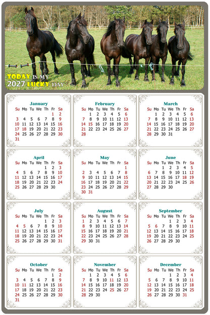 2027 Peel & Stick Calendar - Today is my Lucky Day Removable - Horses 06 (12"x 8")