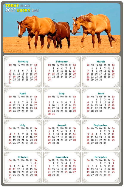 2027 Peel & Stick Calendar - Today is my Lucky Day Removable - Horses 017 (12"x 8")