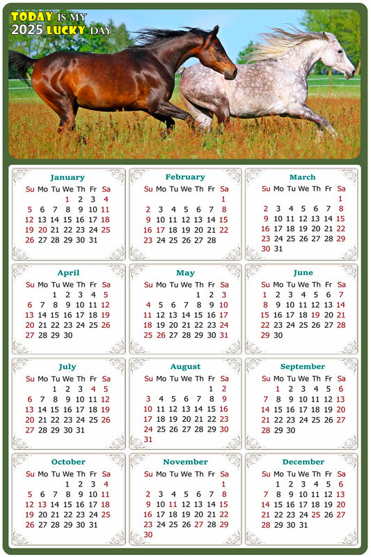 2025 Peel & Stick Calendar - Today is my Lucky Day Removable - Horses 03 (12"x 8")