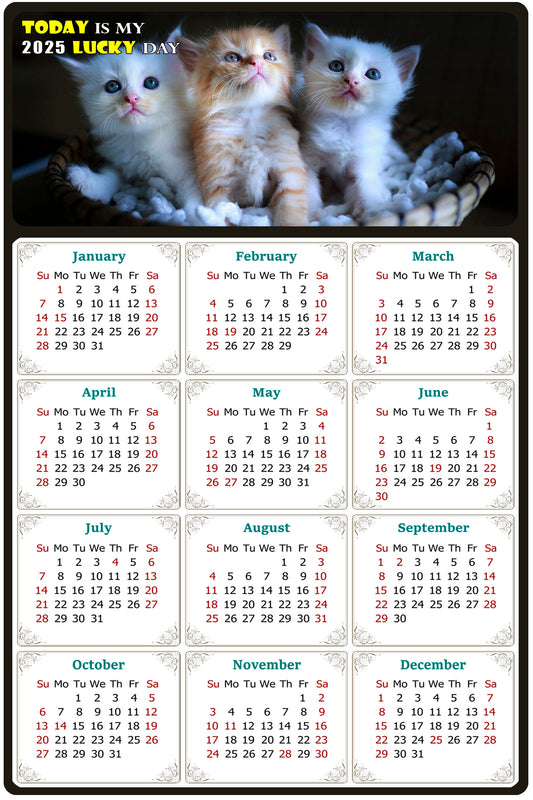 2025 Magnetic Calendar - Today is My Lucky Day (Fade, Tear, and Water Resistant)- Cat Themed 011