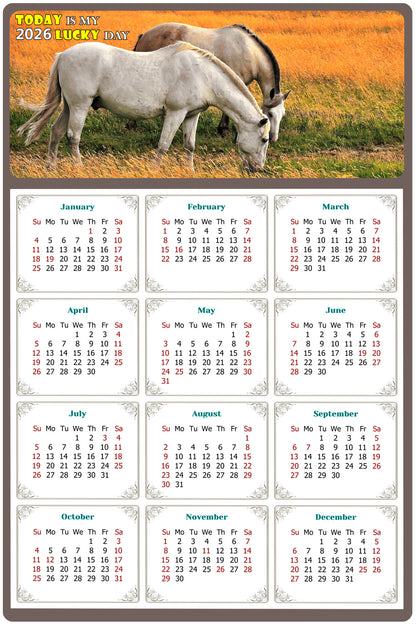 2026 Magnetic Calendar - Calendar Magnets - Today is my Lucky Day - (Fade, Tear, and Water Resistant) - Horses Themed 013