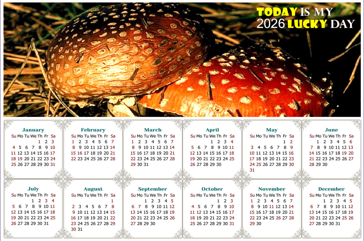 2026 Peel & Stick Calendar - Today is my Lucky Day - Removable, Repositionable - 038 (9"x 6")
