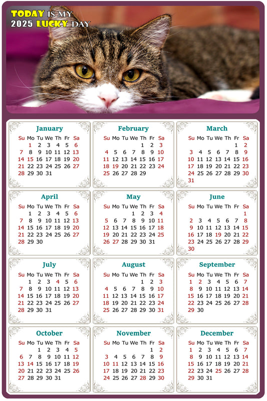 2025 Magnetic Calendar - Today is My Lucky Day (Fade, Tear, and Water Resistant)- Cat Themed 022