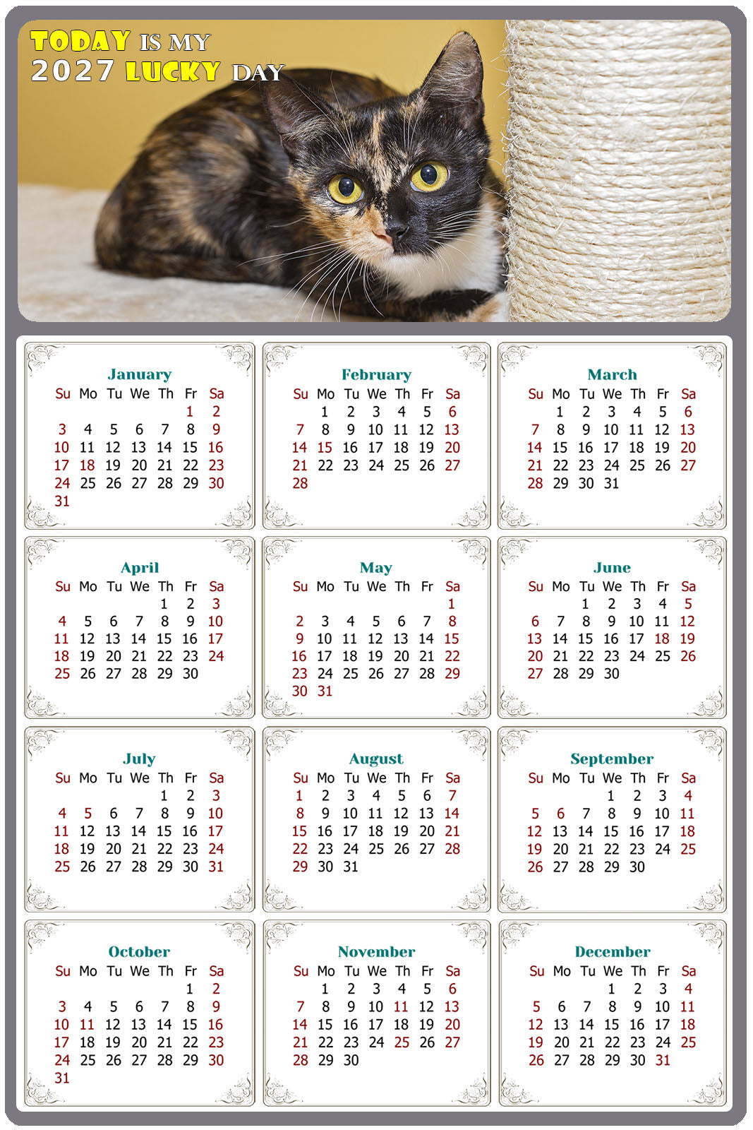 2027 Peel & Stick Calendar - Today is my Lucky Day Removable - Cat 024 (12"x 8")