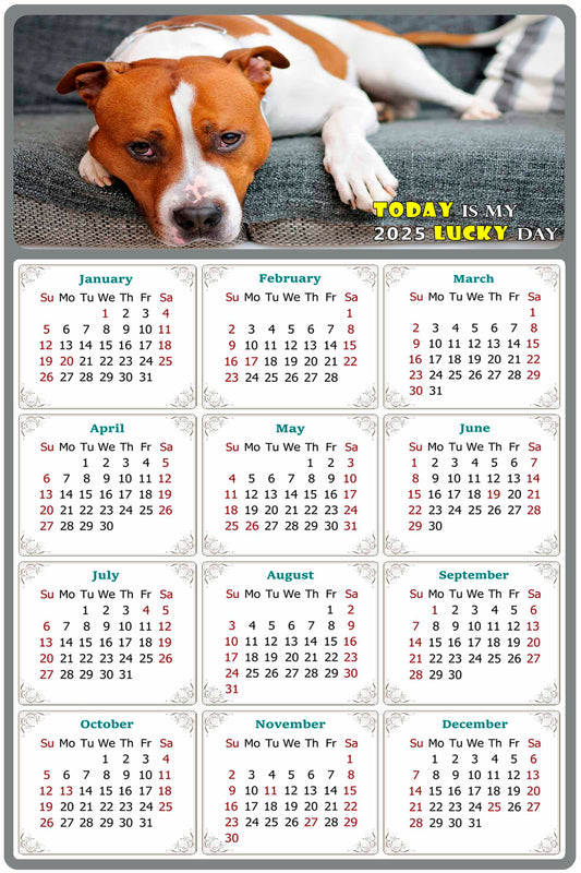 2025 Peel & Stick Calendar - Today is my Lucky Day Removable - Dogs 017 (9"x 6")