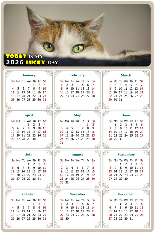 2026 Peel & Stick Calendar - Today is my Lucky Day Removable - Cat 012 (12"x 8")
