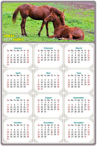2027 Peel & Stick Calendar - Today is my Lucky Day Removable - Horses 019 (12"x 8")