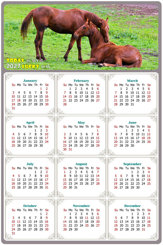 2027 Peel & Stick Calendar - Today is my Lucky Day Removable - Horses 019 (12"x 8")