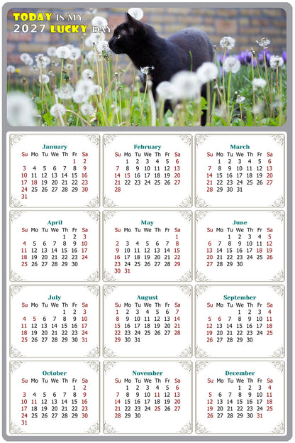 2027 Peel & Stick Calendar - Today is my Lucky Day Removable - Cat 05 (12"x 8")