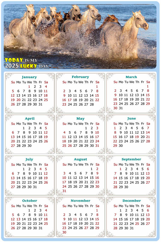 2025 Peel & Stick Calendar - Today is my Lucky Day Removable - Horses 08 (12"x 8")