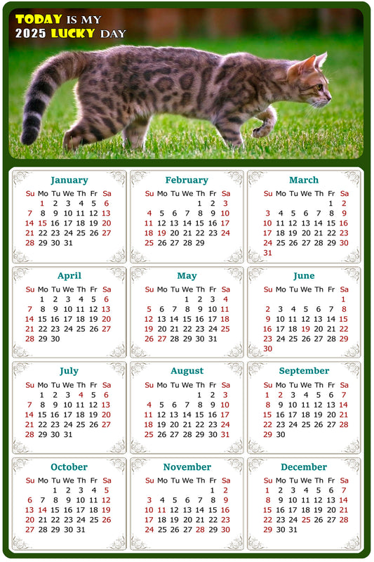 2025 Peel & Stick Calendar - Today is my Lucky Day Removable - Cat 09 (9"x 6")