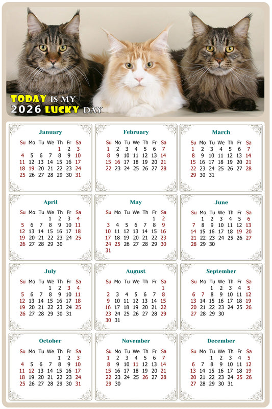 2026 Peel & Stick Calendar - Today is my Lucky Day Removable - Cat 015 (12"x 8")
