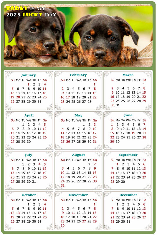 2025 Magnetic Calendar - Today is My Lucky Day (Fade, Tear, and Water Resistant)- Dogs Themed 04