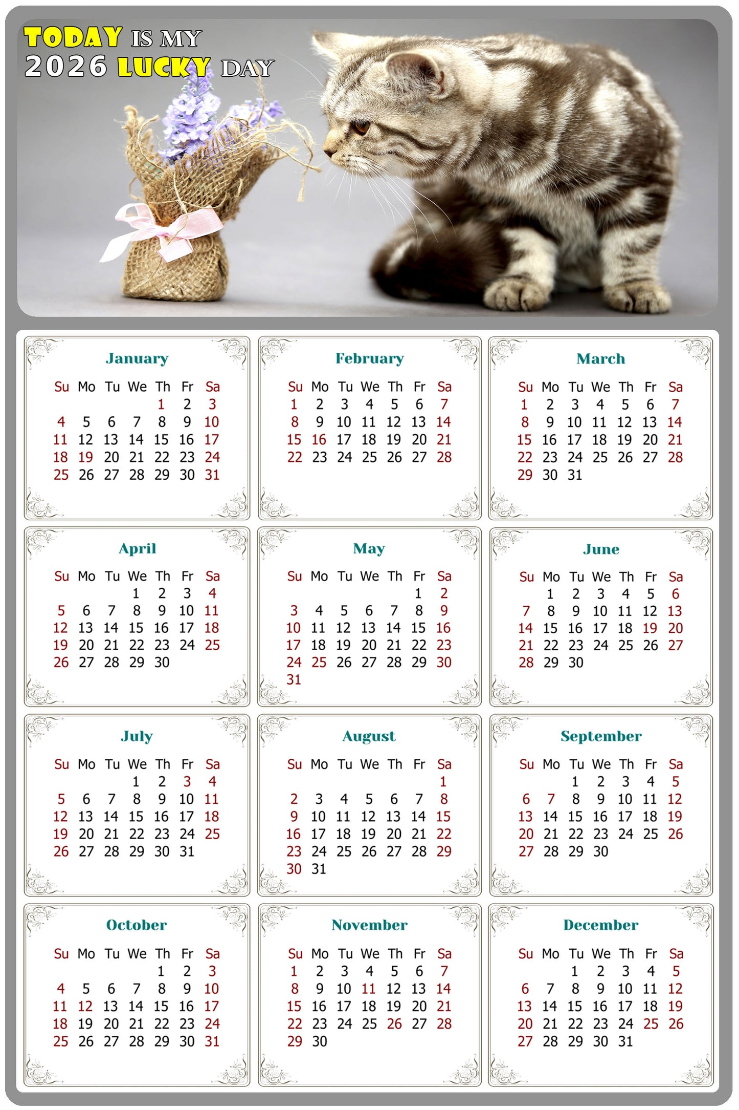2026 Magnetic Calendar - Today is My Lucky Day (Fade, Tear, and Water Resistant)- Cat Themed 025