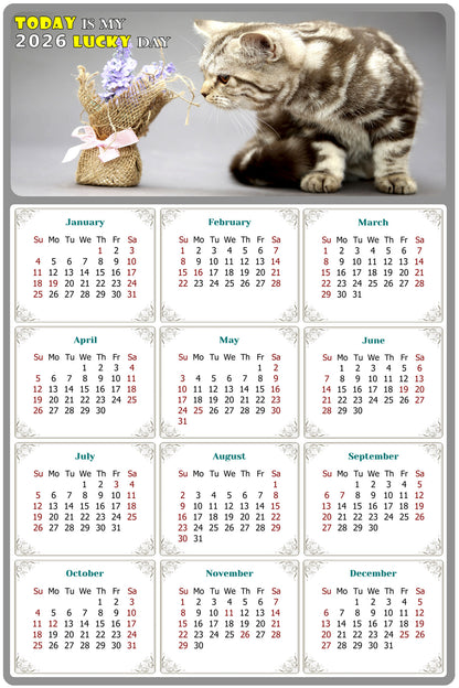 2026 Magnetic Calendar - Today is My Lucky Day (Fade, Tear, and Water Resistant)- Cat Themed 025
