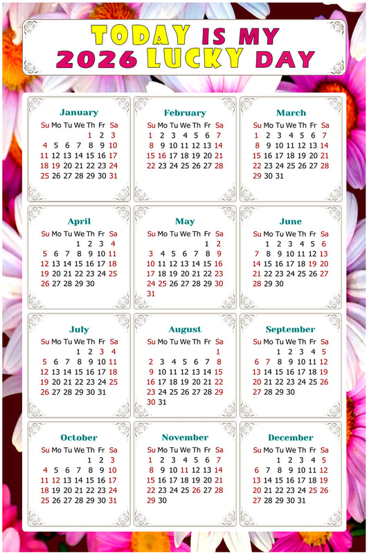 2026 Magnetic Calendar - Calendar Magnets - Today is my Lucky Day - (Fade, Tear, and Water Resistant) - Themed 032