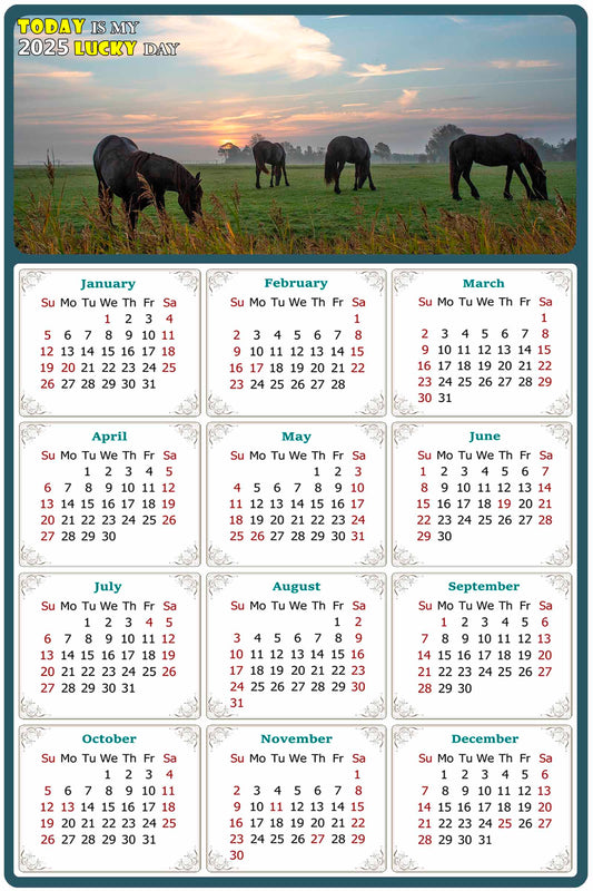2025 Peel & Stick Calendar - Today is my Lucky Day Removable - Horses 04 (12"x 8")