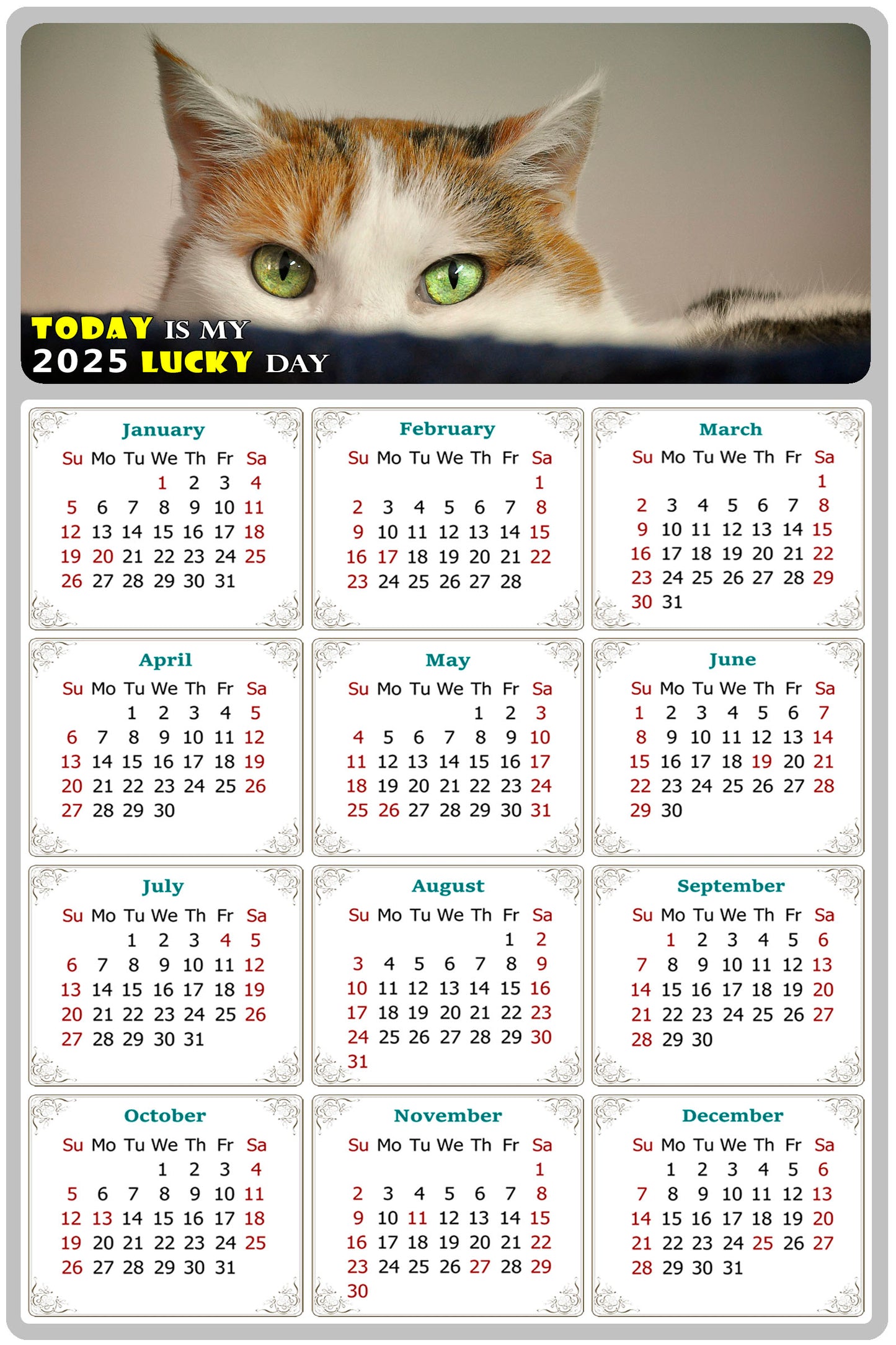 2025 Peel & Stick Calendar - Today is my Lucky Day Removable - Cat 012 (9"x 6")