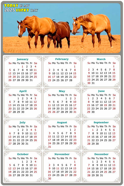 2025 Peel & Stick Calendar - Today is my Lucky Day Removable - Horses 017 (12"x 8")
