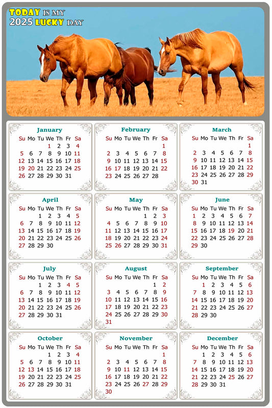 2025 Peel & Stick Calendar - Today is my Lucky Day Removable - Horses 017 (12"x 8")
