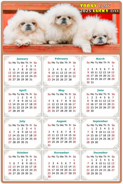 2025 Magnetic Calendar - Today is My Lucky Day (Fade, Tear, and Water Resistant)- Dogs Themed 022