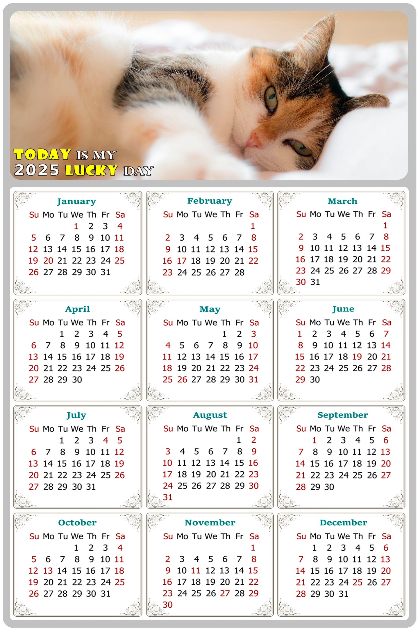 2025 Magnetic Calendar - Today is My Lucky Day (Fade, Tear, and Water Resistant)- Cat Themed 04
