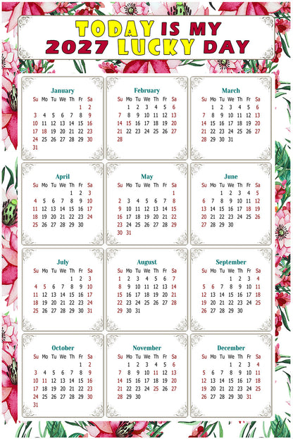 2027 Peel & Stick Calendar - Today is my Lucky Day Removable - 018