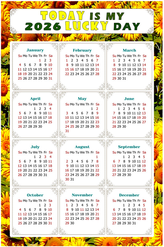 2026 Magnetic Calendar - Calendar Magnets - Today is my Lucky Day - (Fade, Tear, and Water Resistant) - Themed 030