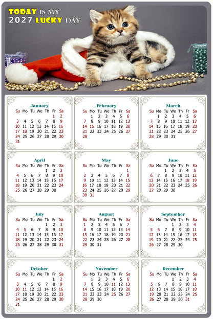 2027 Peel & Stick Calendar - Today is my Lucky Day Removable - Cat 023 (9"x 6")