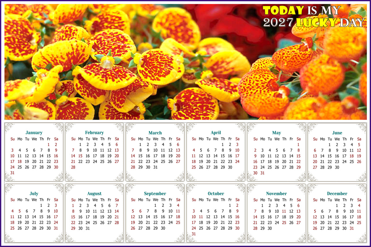 2027 Peel & Stick Calendar - Today is my Lucky Day - Removable, Repositionable - 013 (9"x 6")