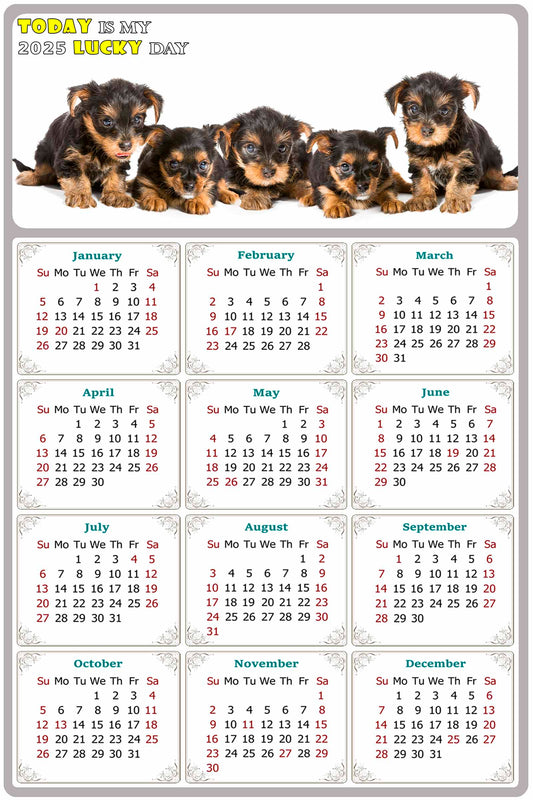 2025 Magnetic Calendar - Today is My Lucky Day (Fade, Tear, and Water Resistant)- Dogs Themed 016