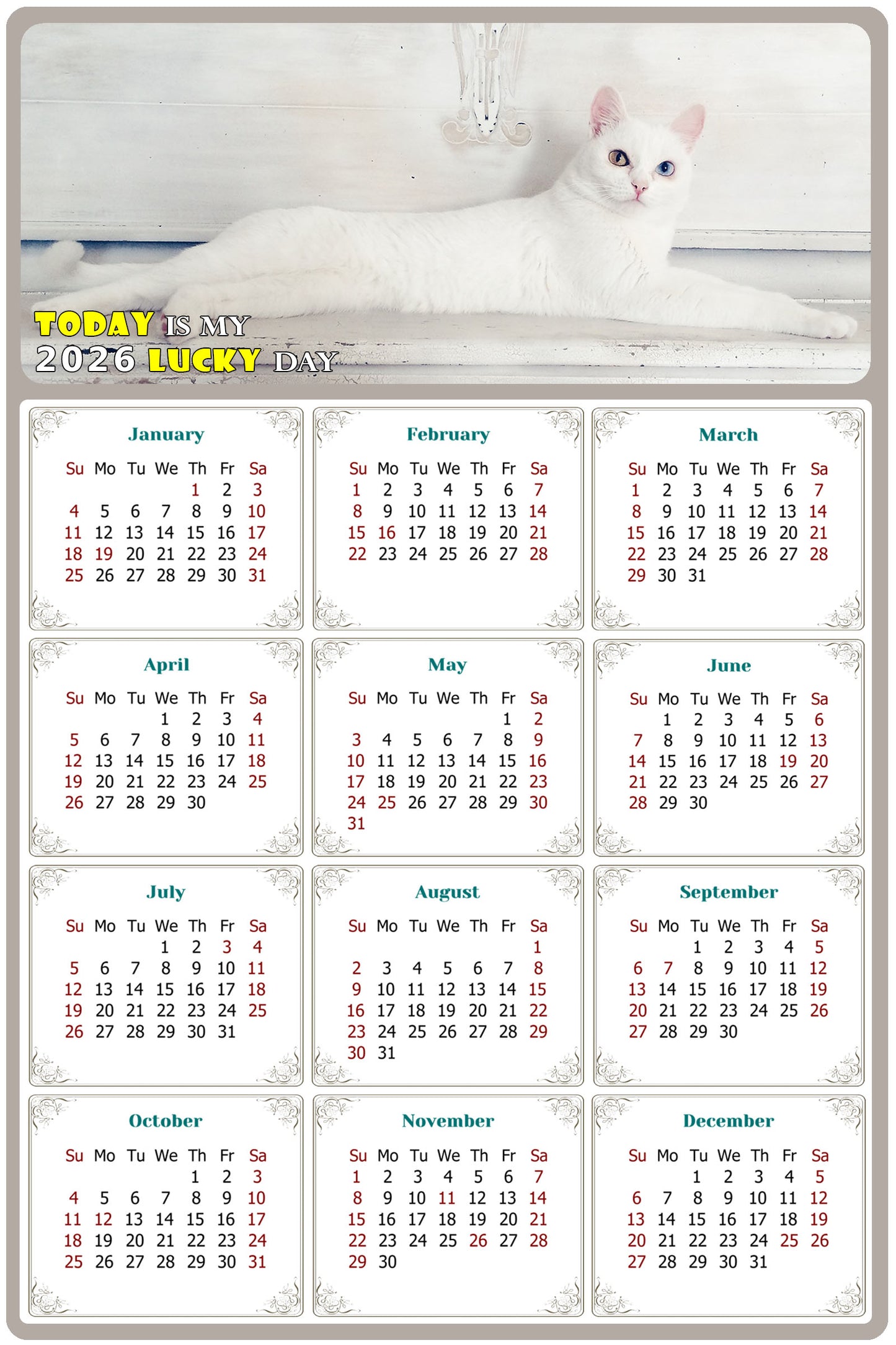 2026 Peel & Stick Calendar - Today is my Lucky Day Removable - Cat 06 (9"x 6")