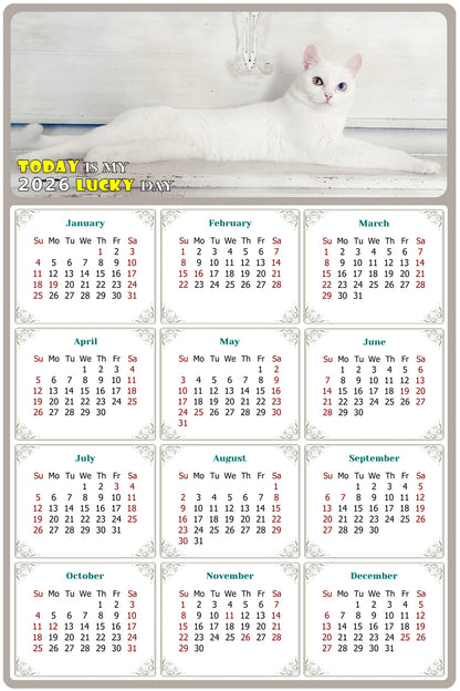 2026 Peel & Stick Calendar - Today is my Lucky Day Removable - Cat 06 (9"x 6")