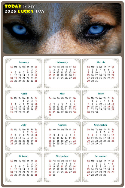 2026 Magnetic Calendar - Today is My Lucky Day (Fade, Tear, and Water Resistant)- Dogs Themed 03