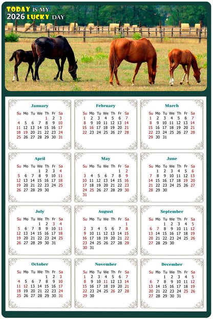 2026 Magnetic Calendar - Calendar Magnets - Today is my Lucky Day - (Fade, Tear, and Water Resistant) - Horses Themed 010
