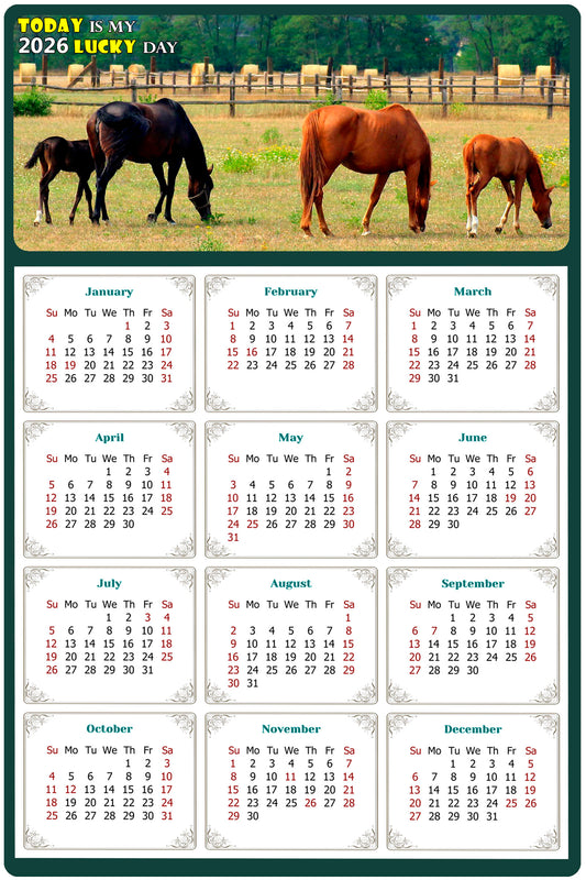 2026 Magnetic Calendar - Calendar Magnets - Today is my Lucky Day - (Fade, Tear, and Water Resistant) - Horses Themed 010