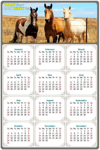 2027 Peel & Stick Calendar - Today is my Lucky Day Removable - Horses 07 (12"x 8")