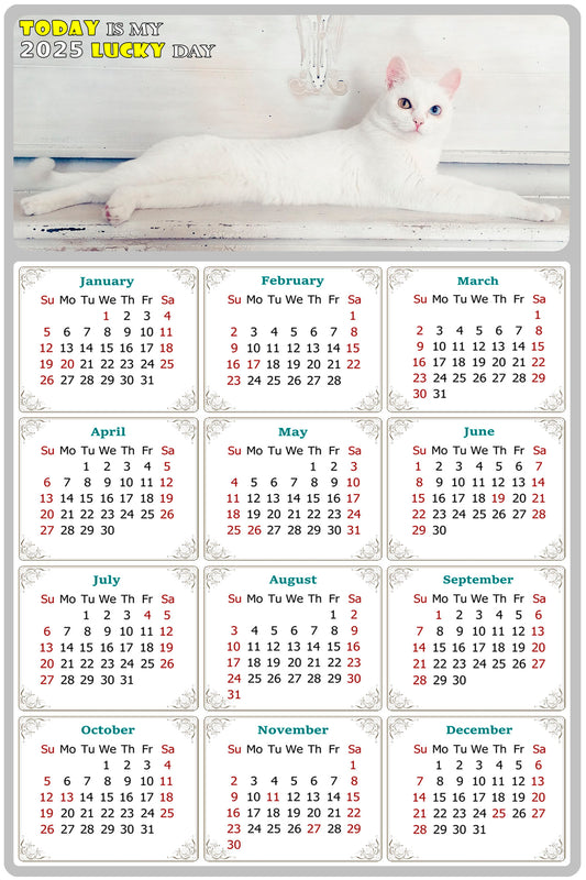 2025 Peel & Stick Calendar - Today is my Lucky Day Removable - Cat 06 (9"x 6")