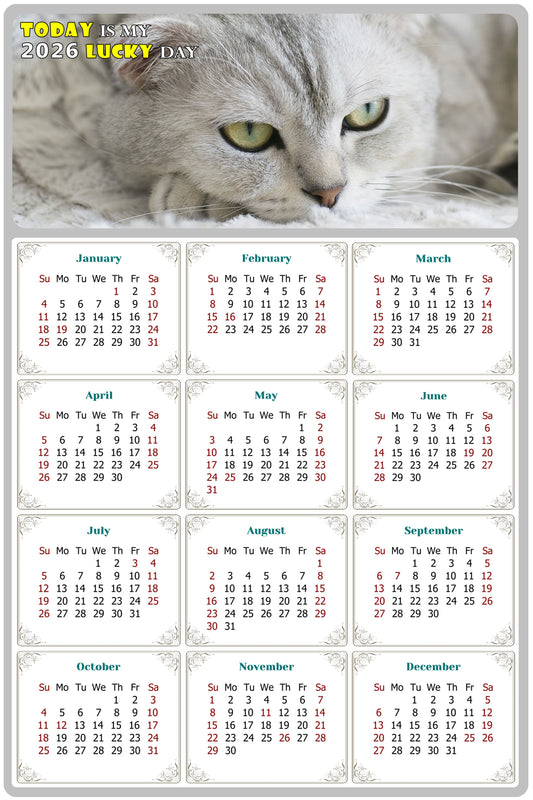 2026 Peel & Stick Calendar - Today is my Lucky Day Removable - Cat 01 (12"x 8")