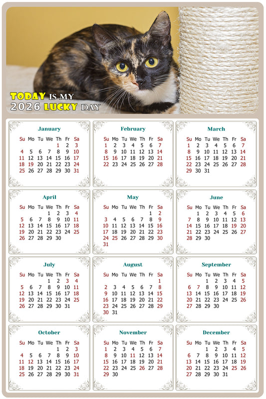 2026 Peel & Stick Calendar - Today is my Lucky Day Removable - Cat 024 (12"x 8")