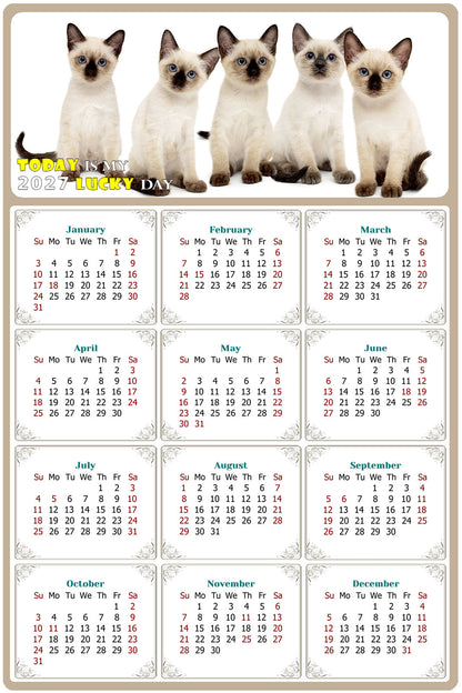 2027 Peel & Stick Calendar - Today is my Lucky Day Removable - Cat 020 (9"x 6")