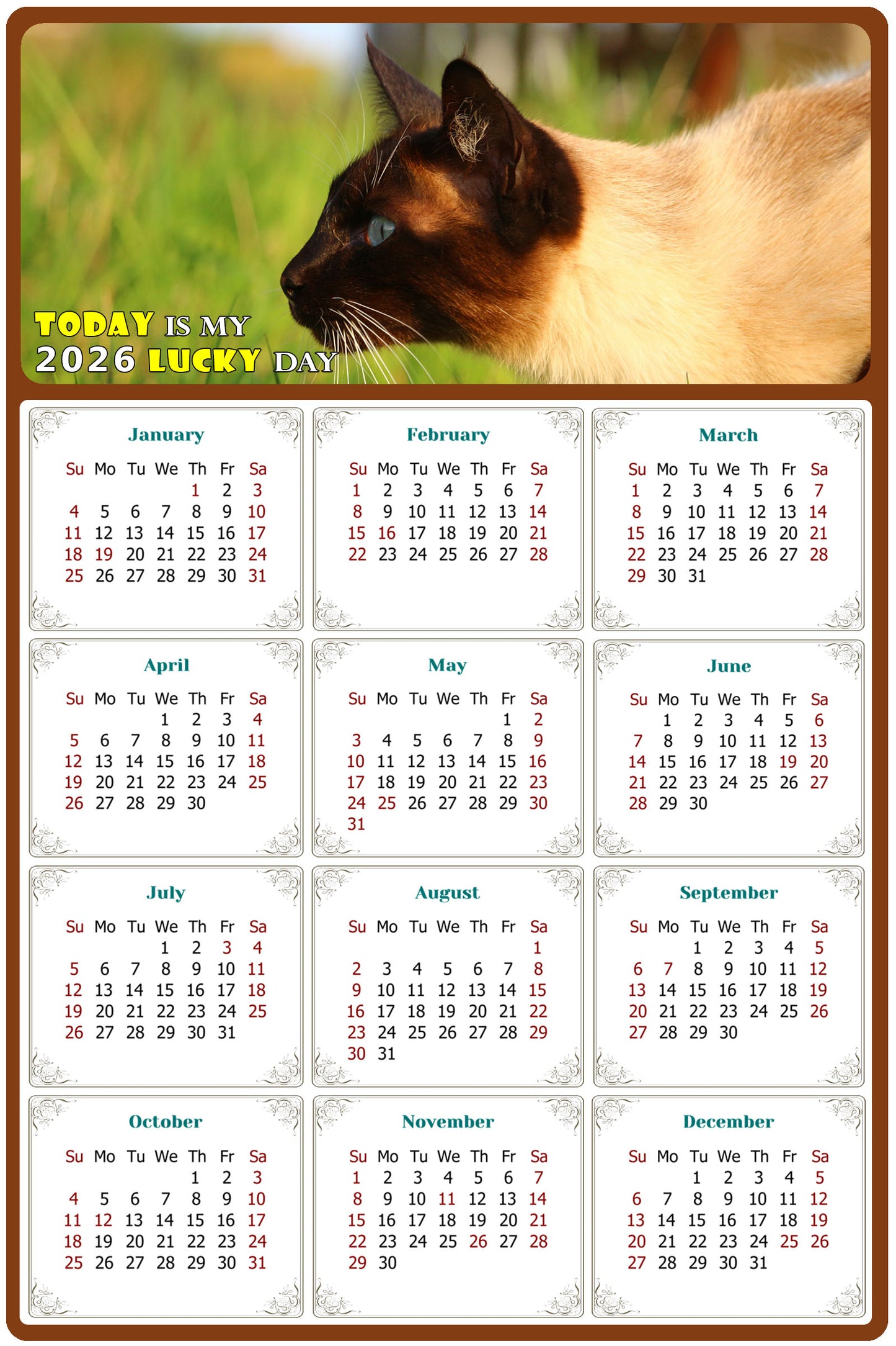 2026 Peel & Stick Calendar - Today is my Lucky Day Removable - Cat 03 (9"x 6")