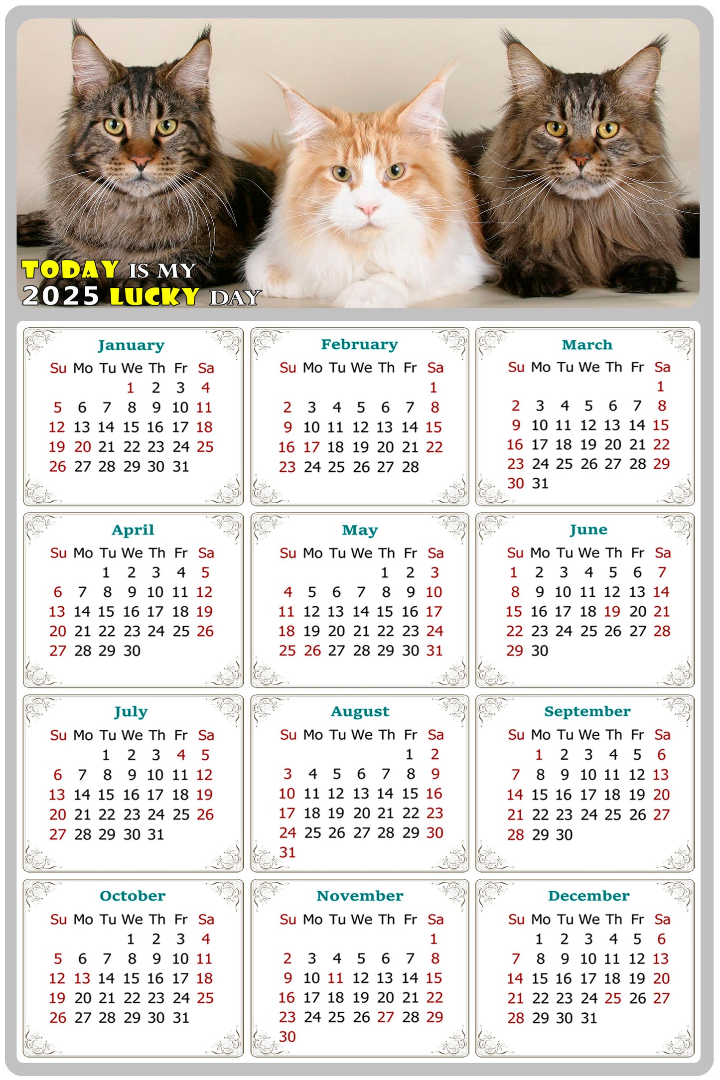 2025 Peel & Stick Calendar - Today is my Lucky Day Removable - Cat 015 (9"x 6")