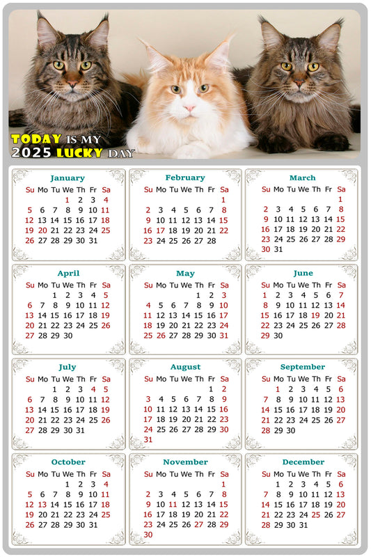 2025 Peel & Stick Calendar - Today is my Lucky Day Removable - Cat 015 (9"x 6")