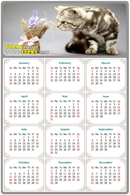 2026 Peel & Stick Calendar - Today is my Lucky Day Removable - Cat 025 (12"x 8")