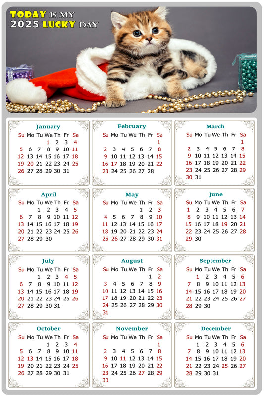 2025 Peel & Stick Calendar - Today is my Lucky Day Removable - Cat 023 (9"x 6")