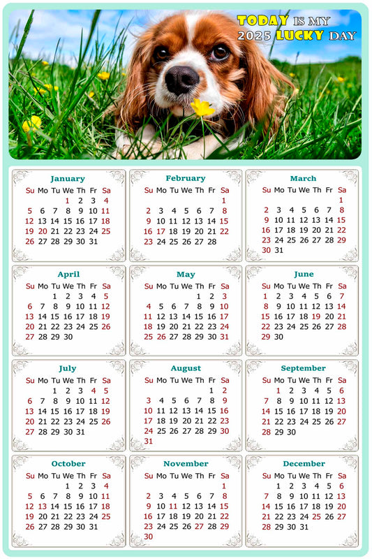 2025 Magnetic Calendar - Today is My Lucky Day (Fade, Tear, and Water Resistant)- Dogs Themed 06