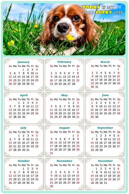 2025 Magnetic Calendar - Today is My Lucky Day (Fade, Tear, and Water Resistant)- Dogs Themed 06